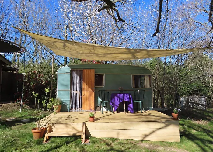 Cosy Cabane